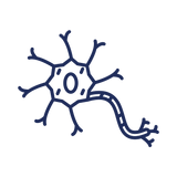 Clinically Researched Formulas